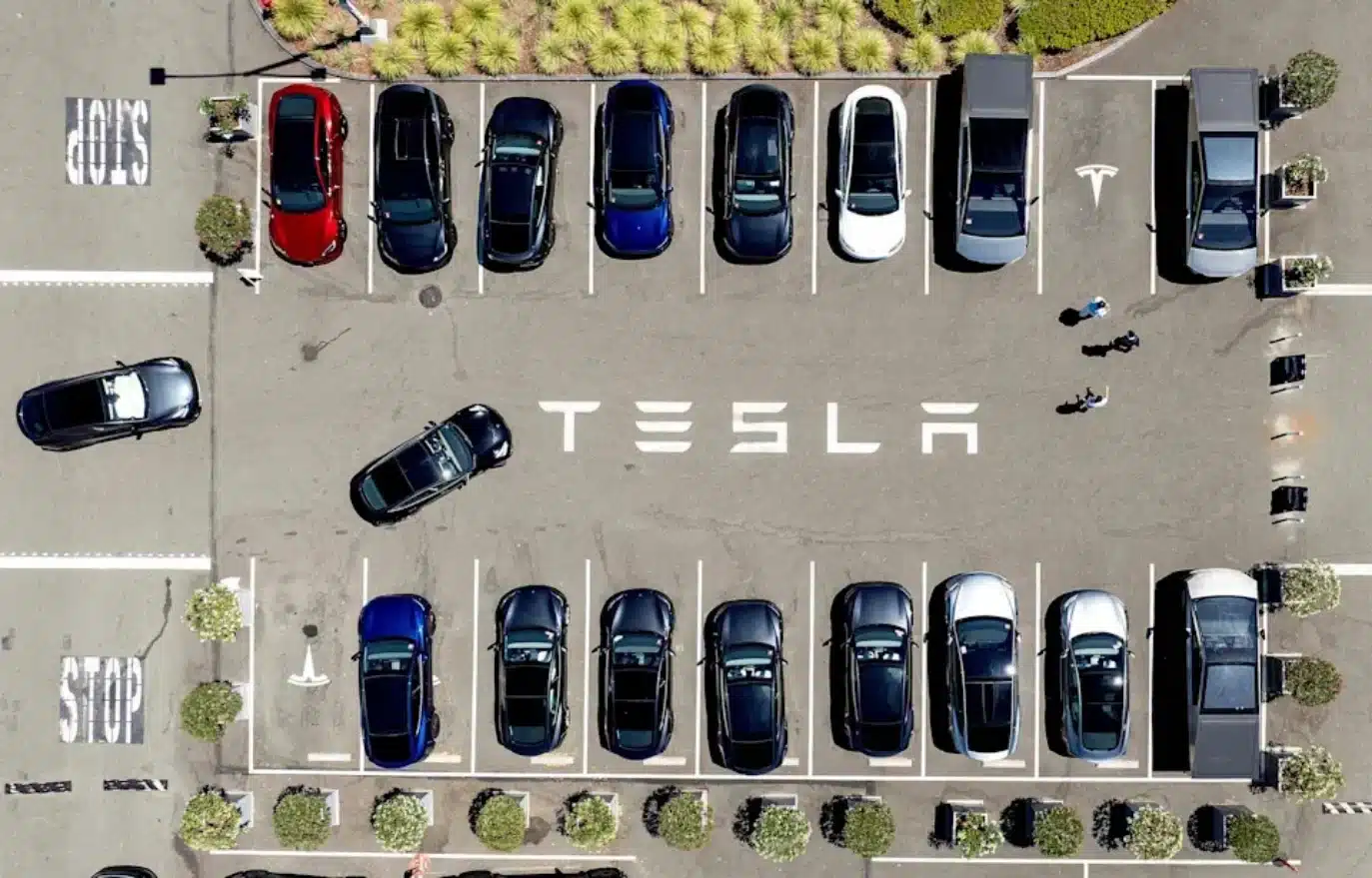 Tesla hisseleri neden bu kadar pahalฤฑ gรถrรผnรผyor