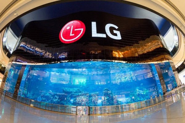 LG'den dünyanın en büyük OLED ekranı