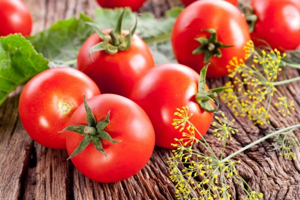 Rusya'dan domates kotasını artırma sinyali