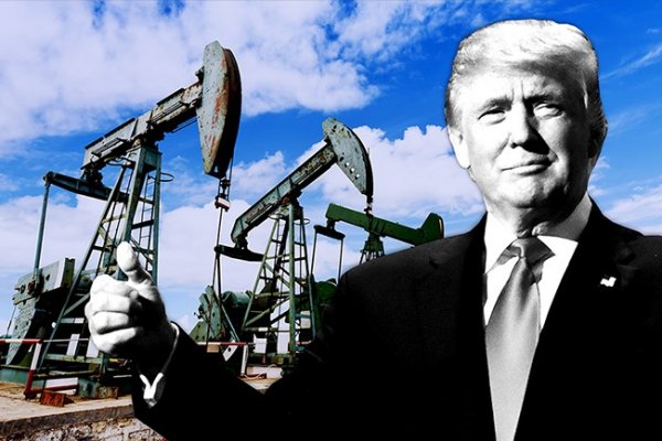 Trump OPEC'i hedef aldı, yüksek petrol fiyatlarını eleştirdi