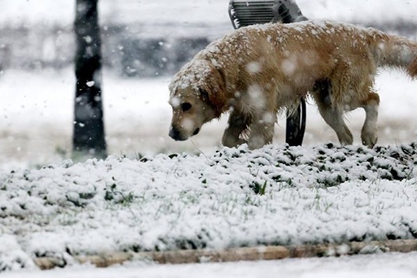 Meteoroloji uyardı: Kar İstanbul'un kapısına dayandı