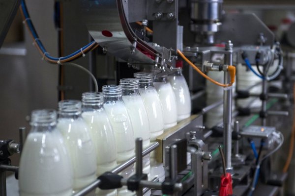 Süt ve yağ gibi ürünlerin ithalatında sıfır gümrük uygulaması kaldırıldı
