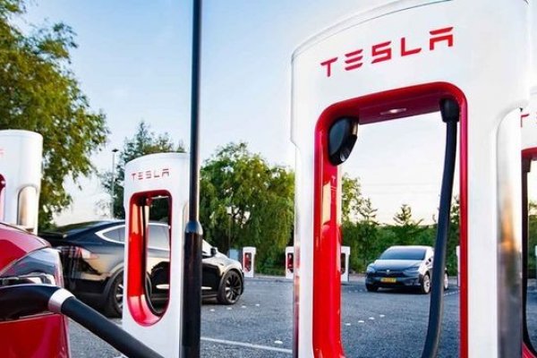 Endonezya Tesla'yı ikna etmeye çalışıyor