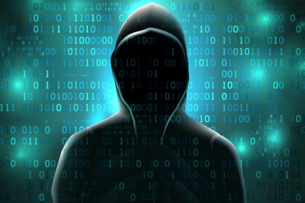 Almanya'da hacker şoku: Cumhurbaşkanı'nın bile kimlik bilgilerini çaldılar