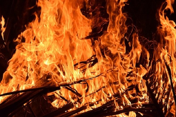 TSB'den "yangınların zararlarının hafifletilmesine yönelik" tavsiye kararı