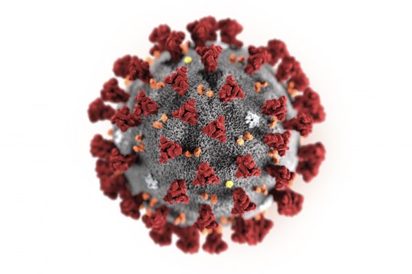 New York'ta, koronavirüs nedeniyle "acil durum" ilan edildi