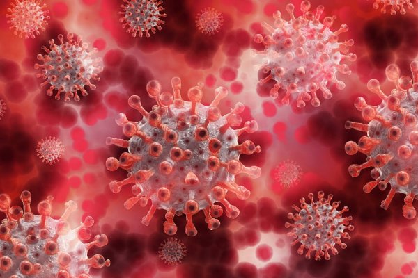 En fazla mutasyon geçirmiş koronavirüs tespit edildi