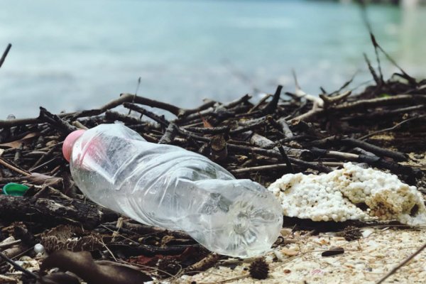 BM'den "denizlerimiz plastik atıklarla boğuluyor" uyarısı