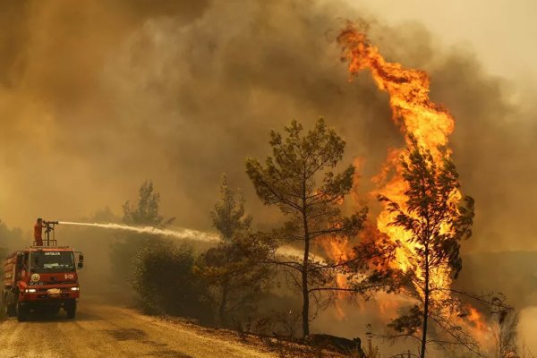 Türkiye'nin ormanları sekiz gündür yanıyor