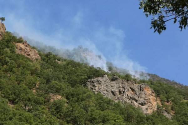 Tunceli ve Bingöl'de orman yangını