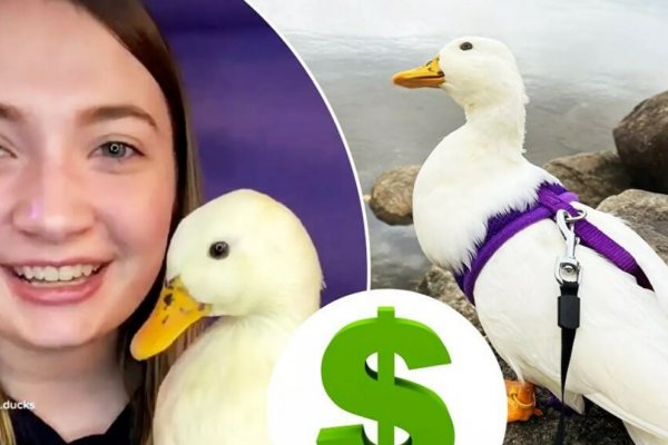 TikTok'un fenomen ördeği ayda 4 bin 500 dolar kazanıyor