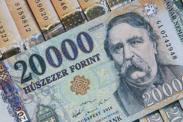 Fitch, Macaristan'ın kredi notu görünümünü düşürdü