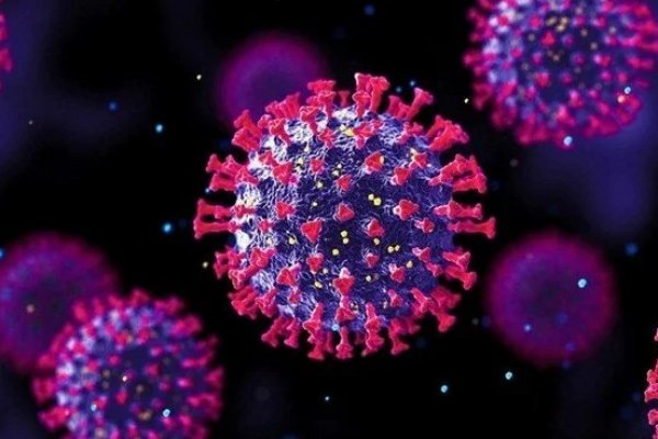 Günlük koronavirüs tablosu açıklandı - 10 Mart 2022