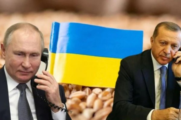 Putin: Erdoğan'ın çabaları nedeniyle tahıl tedarikini engellemeyeceğiz