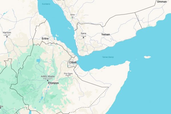 Kızıldeniz'e inmek isteyen Afrika ülkesi Somaliland'e hisse teklif etti