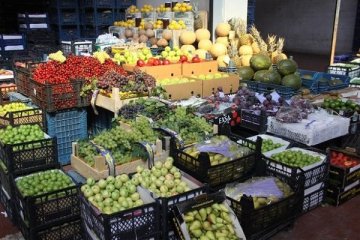Türkiye, 528 milyon dolar yaş meyve sebze ihraç etti