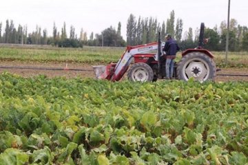 Çiftçi iş bırakıyor,gıda krizi kapıya dayandı