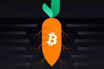 Bitcoin’de Taproot güncellemesi
