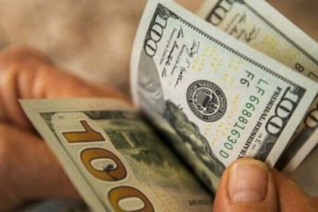 Dolar neden yükseliyor? Bakan Nebati’den açıklama