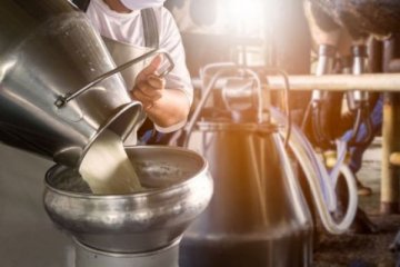 Süt sektörü ihracatın kısıtlanmasından yana kaygılı