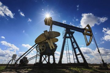 Rusya'nın petrol ihracat geliri 110 milyar doları aştı