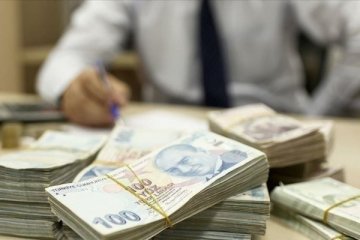 Türk lirası mevduatın payı 8,73 puan yükseldi