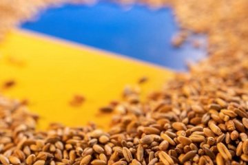 Almanya ve Ukrayna'dan tahıl koridoru açıklaması