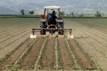 Çiftçilere 49,5 milyon TL'lik destek ödemesi