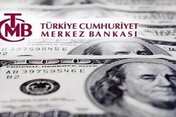 TCMB Finansal İstikrar Raporu'nu yayımladı