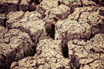 Arjantin 20 milyar dolar zarara yol açan şiddetli kuraklığın pençesinde