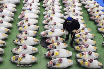Japonya balıkçılık yardımı için 20 milyar yen ayırdı