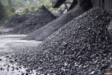 Çin kömürde tavan fiyata gidiyor