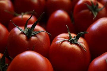 Rusya Türkiye'den domates alımı için tek şartını açıkladı