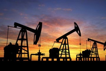 Ham petrol ithalatı mayısta arttı