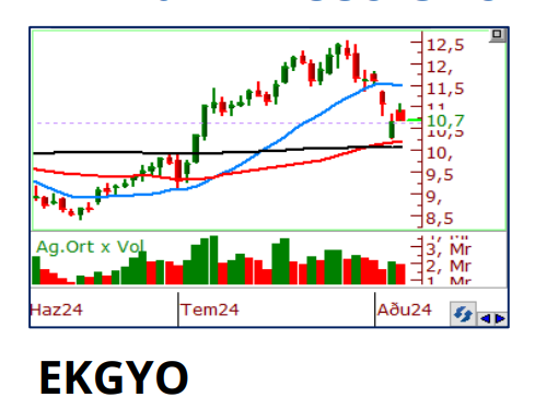 Philip Capital bugün için hangi hisseleri öne çıkardı - 7 Ağustos Çarşamba 4 00-ekgyo.png