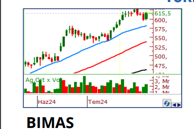 Philip Capital bugün için hangi hisseleri öne çıkardı - 31 Temmuz Çarşamba 3 bimas-004.png