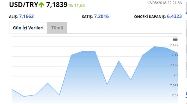 dolar-tl-7-16-498855-1.jpg