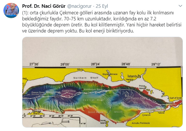 Deprem profesöründen "risk daha da artmış olabilir" uyarısı 3 n1-001.jpg
