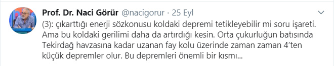 Deprem profesöründen "risk daha da artmış olabilir" uyarısı 5 n3-001.jpg