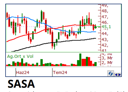 Philip Capital bugün için hangi hisseleri öne çıkardı - 31 Temmuz Çarşamba 5 sasa-001.png