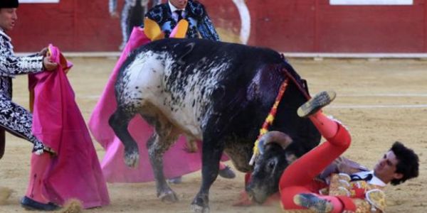 Ünlü matador canlı yayında hayatını kaybetti