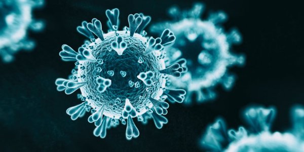 Koronavirüs riskinden koruyacak 14 Kural